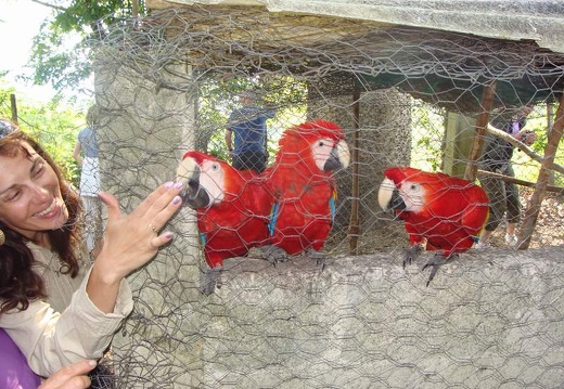 Поездка Оксаны Руденко в Мексику, июнь 2010 