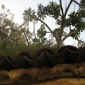 IMG_4240.jpg