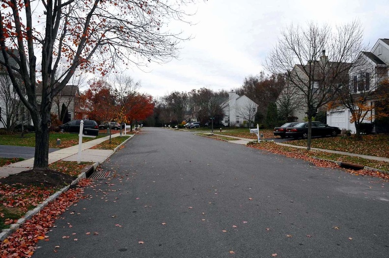 JPG_2560.JPG