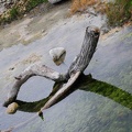 JPG_5879.jpg