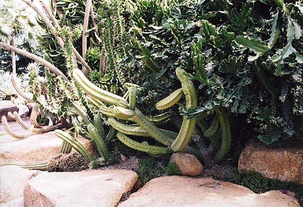 img024.jpg