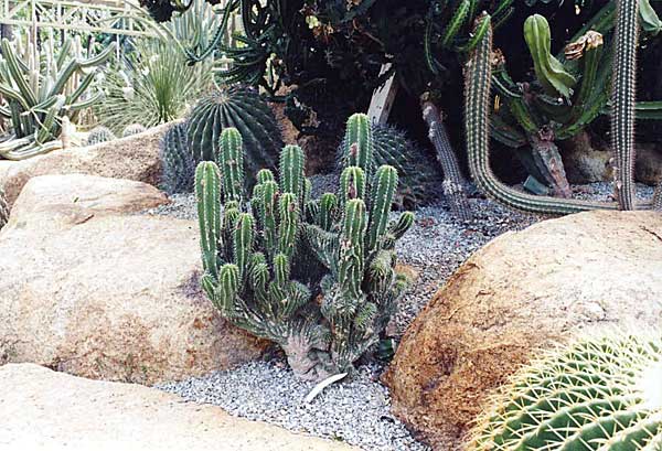 img027.jpg