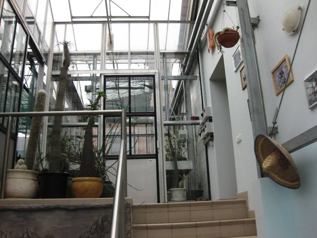 doneck801.jpg