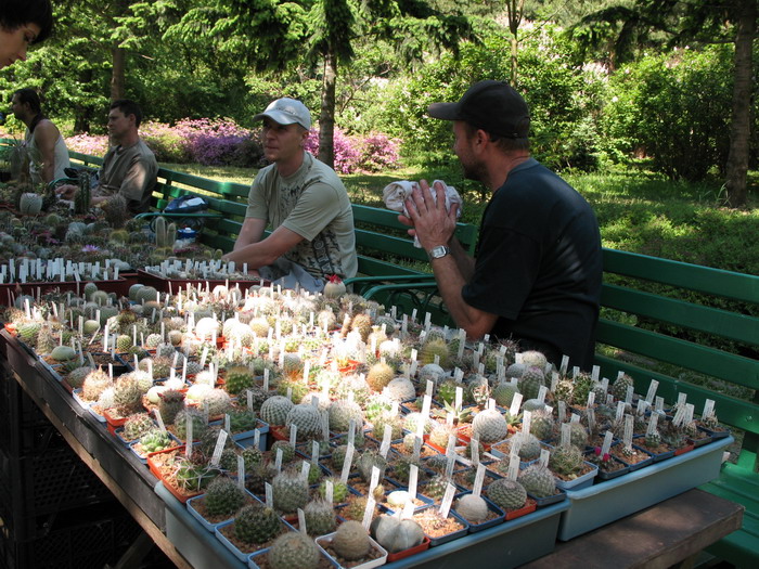 Выставка май 2007 (2820 відвідувань) Фото Алексея Вовк (Киев) Выставка май 2007