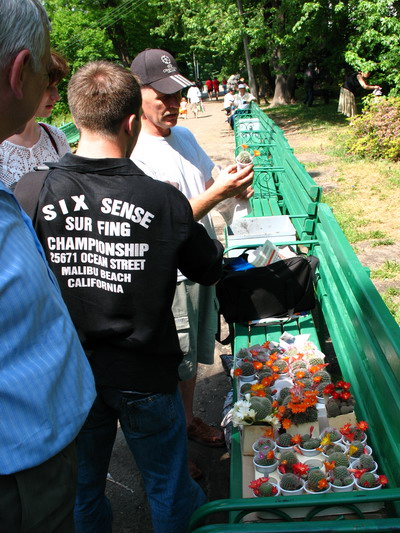 IMG_2146.jpg