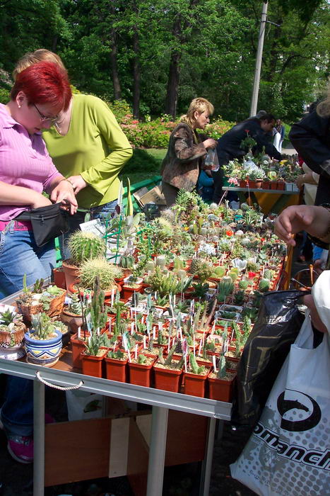Выставка май 2006 (Киев) (2752 відвідувань) Работа в разгаре))
Фото Владимира Иванова (Киев) Выставка май 2006 (Киев)
