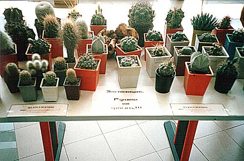 Выставка 2 августа 2003 (2616 відвідувань) Фото Ивановой Елены (Киев)
Выставка 2 августа 2003