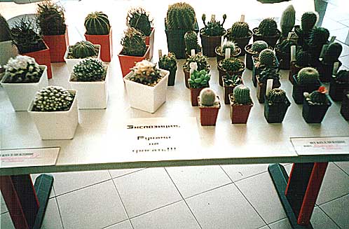 Выставка 2 августа 2003 (2518 відвідувань) Фото Ивановой Елены (Киев)
Выставка 2 августа 2003