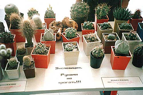Выставка 2 августа 2003 (2578 відвідувань) Фото Ивановой Елены (Киев)
Выставка 2 августа 2003
