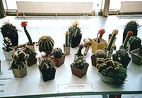 Выставка 2 августа 2003 (2565 відвідувань) Фото Ивановой Елены (Киев)
Выставка 2 августа 2003