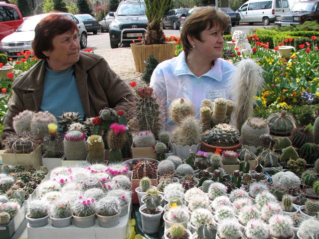 Выставка 21-22 апреля 2007 (Одесса) (3196 відвідувань) Гости из Запорожья
Фото Натальи Эллис (Одесса)
Выставка 21-22 апреля 2007 (Одесса)
