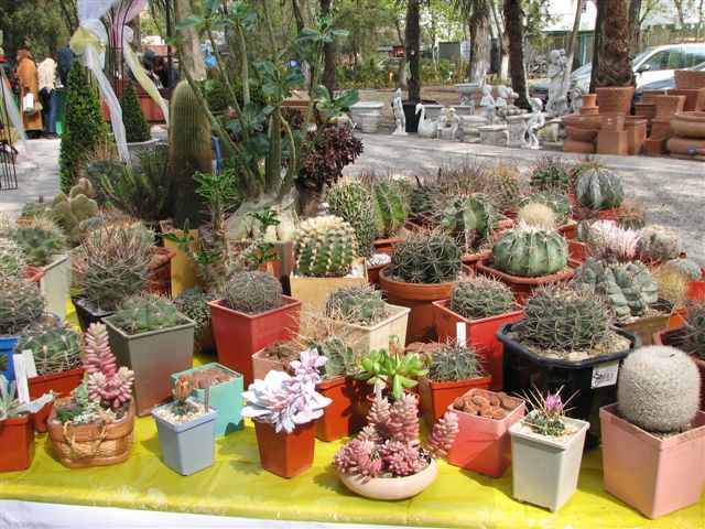 Выставка 21-22 апреля 2007 (Одесса) (2853 відвідувань) Фото Натальи Эллис (Одесса)
Выставка 21-22 апреля 2007 (Одесса)
