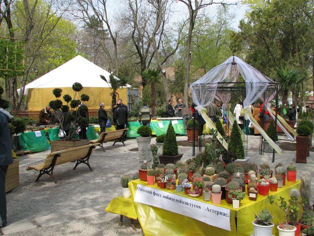 Выставка 21-22 апреля 2007 (Одесса) (2898 відвідувань) Фото Натальи Эллис (Одесса) Выставка 21-22 апреля 2007 (Одесса)