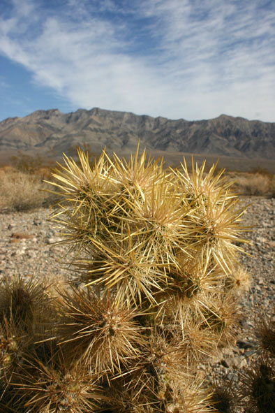 usa_0703.JPG