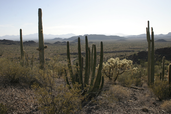 usa_2308.JPG