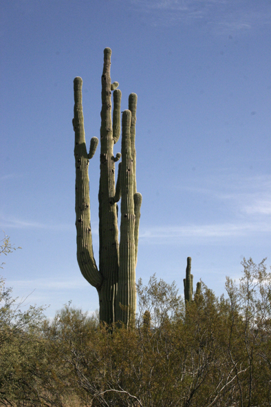 usa_2458.JPG