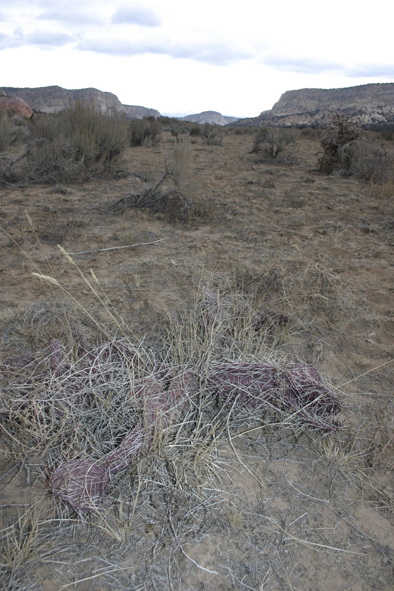 usa_2916.jpg