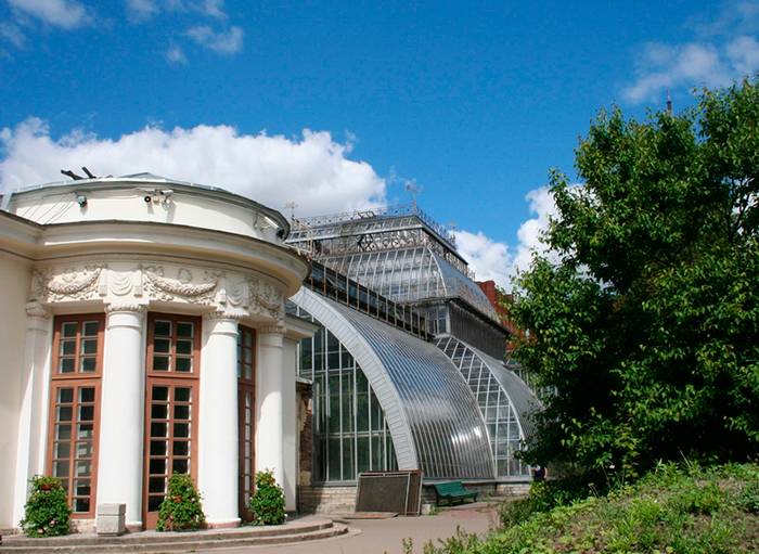 Сад петра великого в санкт петербурге